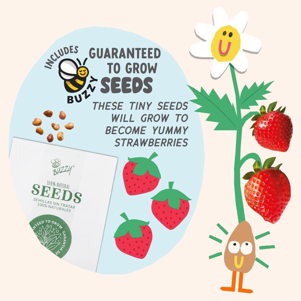 Paint & Grow- Strawberry image number 2