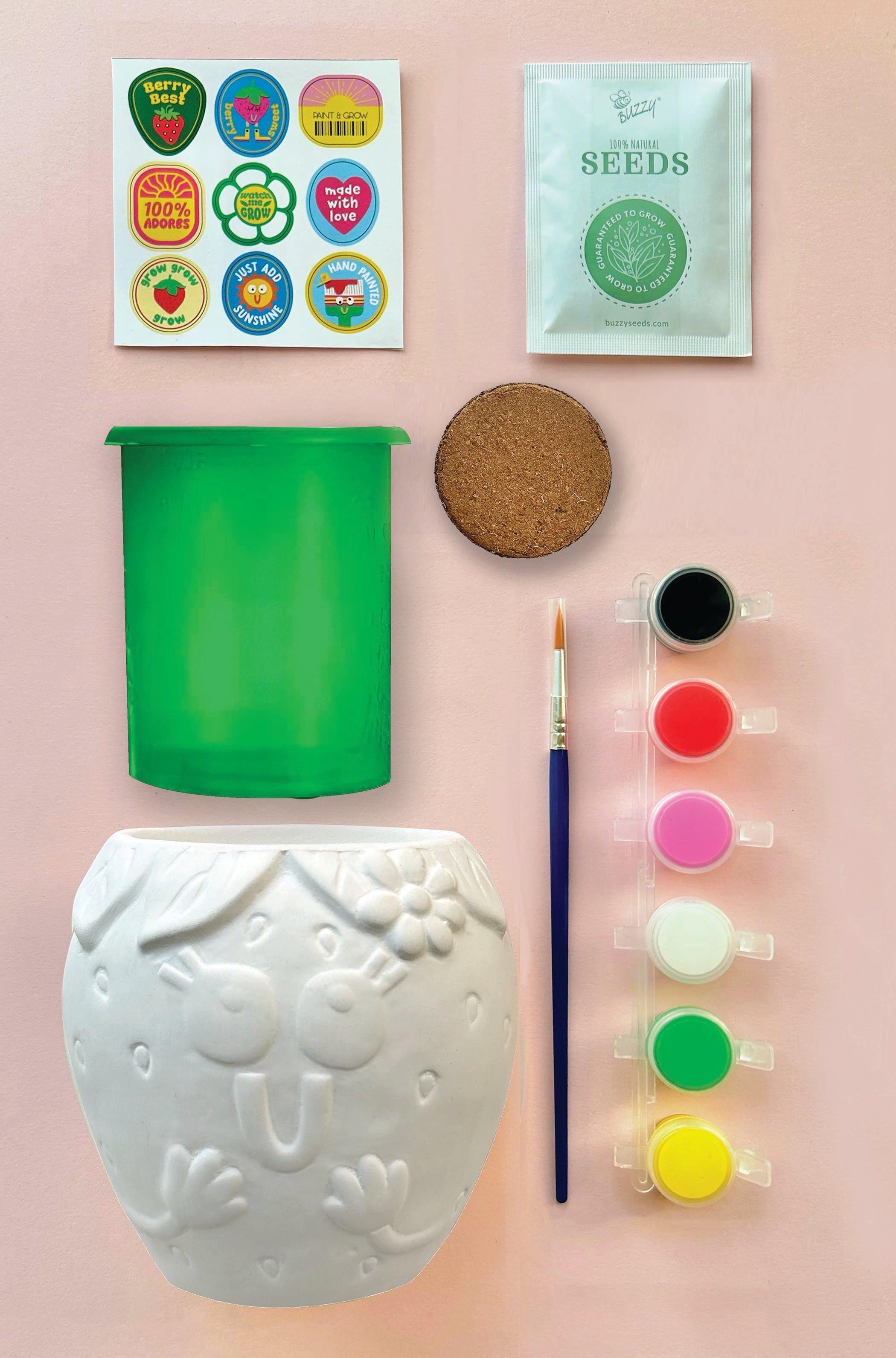 Paint & Grow- Strawberry image number 3