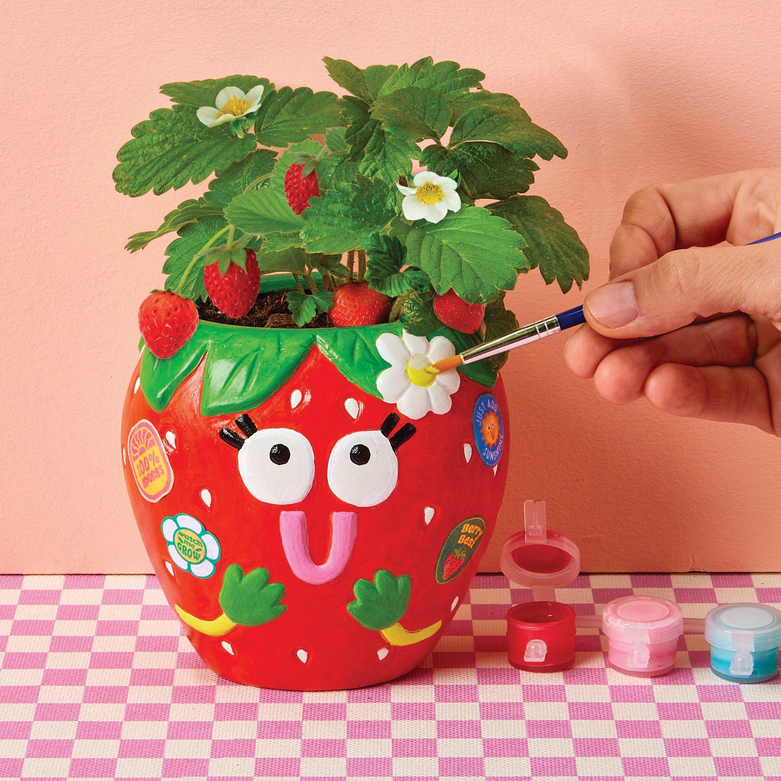 Paint & Grow- Strawberry image number 1