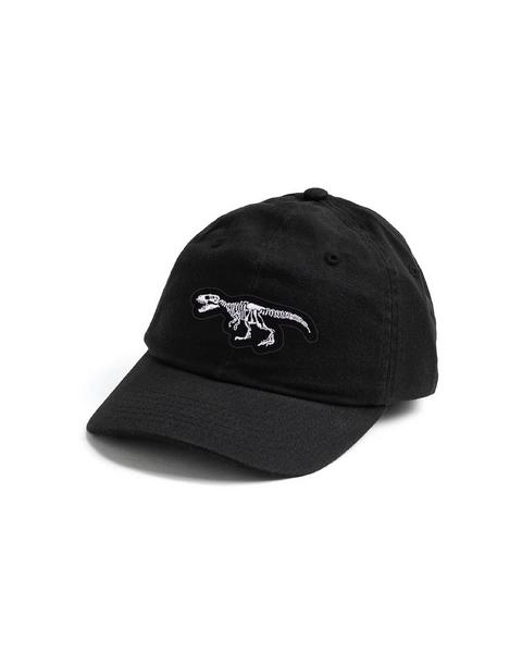 Dinosaur Skeleton Patch Halloween Baseball Hat