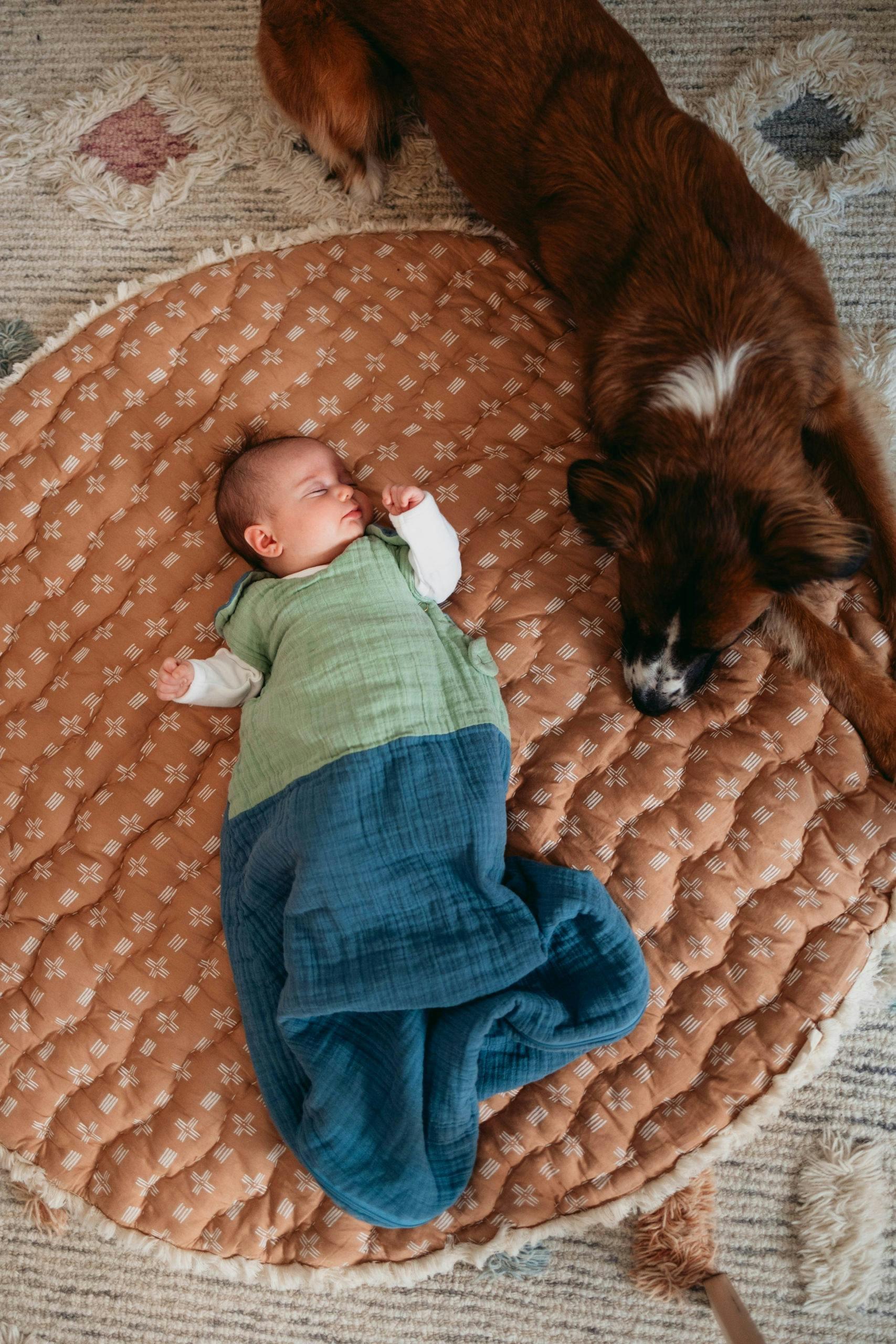 Kaleidoscope 1.2 TOG Wearable Blanket (Riverstone & Evergreen) image number 4
