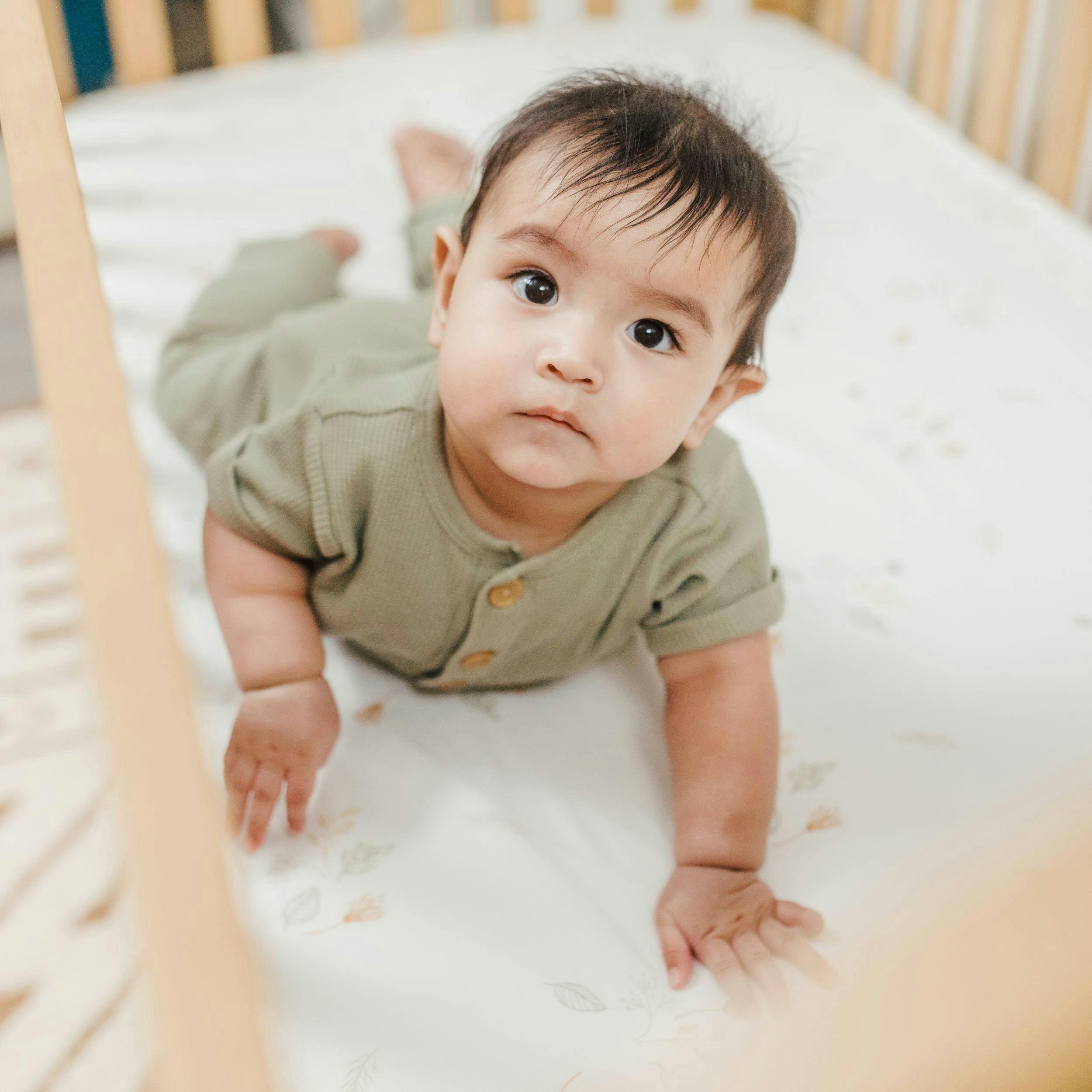 Willow Dainty Leaf Cotton Fitted Crib Sheet image number 4