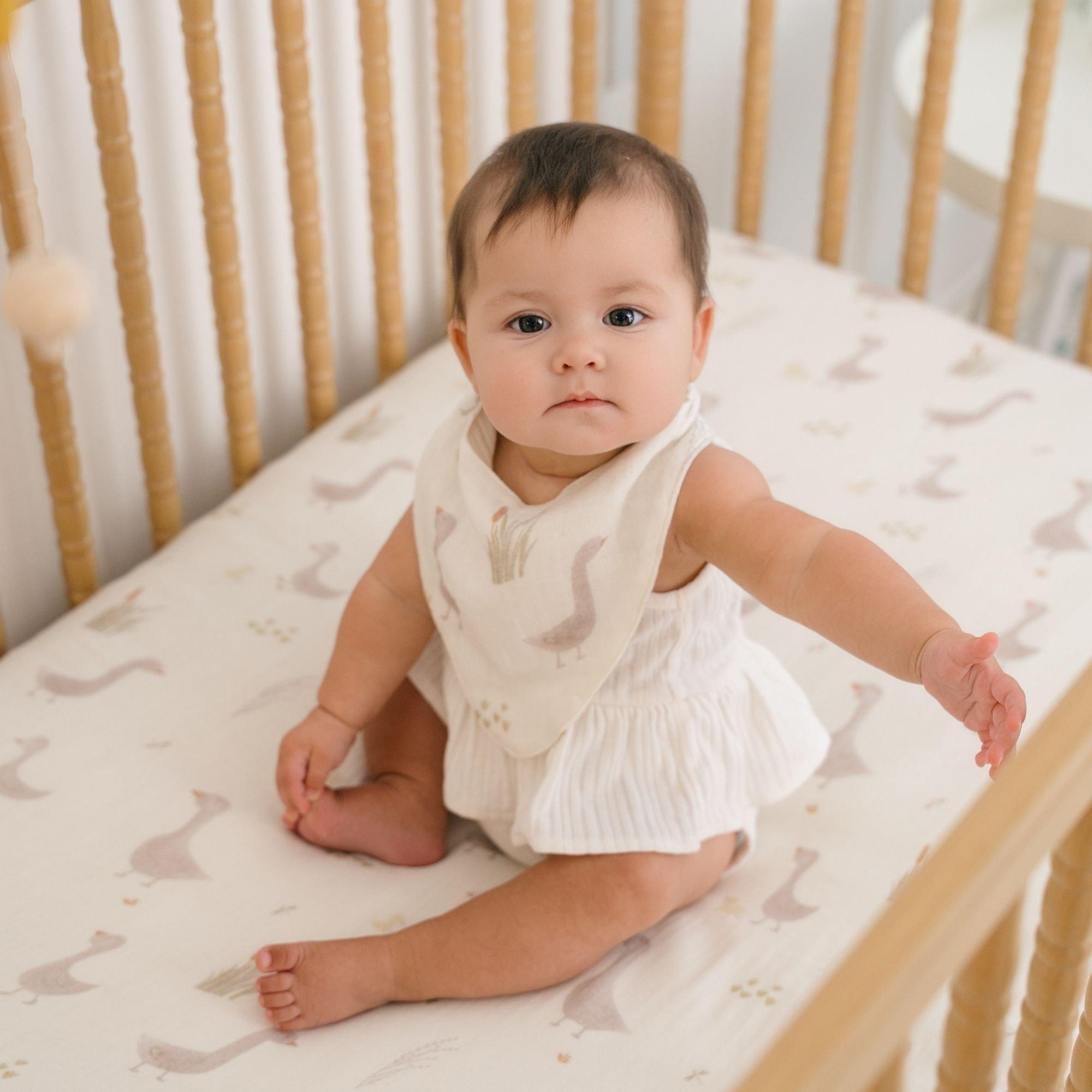 Charlie Goose Cotton Bandana Baby Bib (3 Pack) image number 3