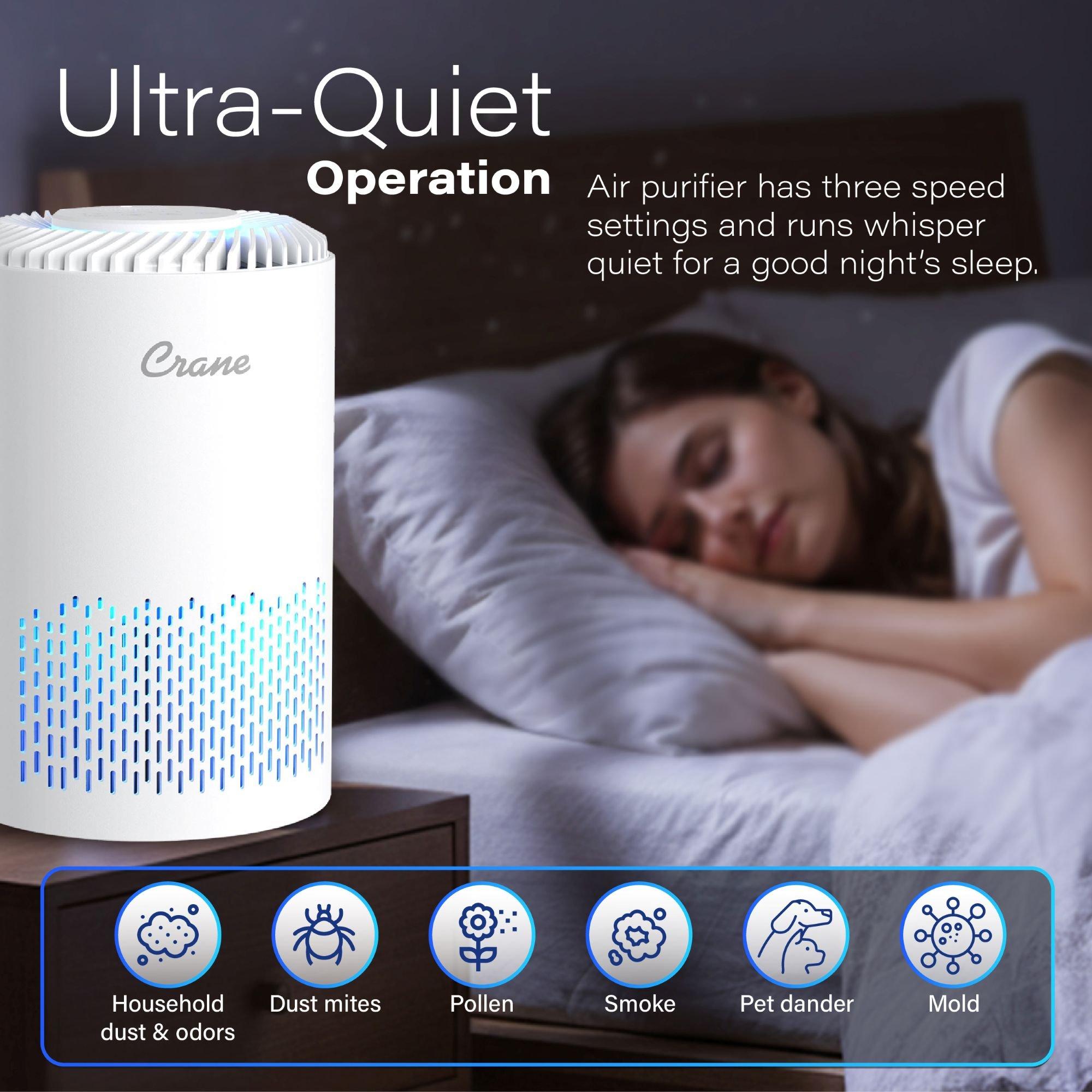 True HEPA Air Purifier, Up To 150 Sq. Ft. image number 3