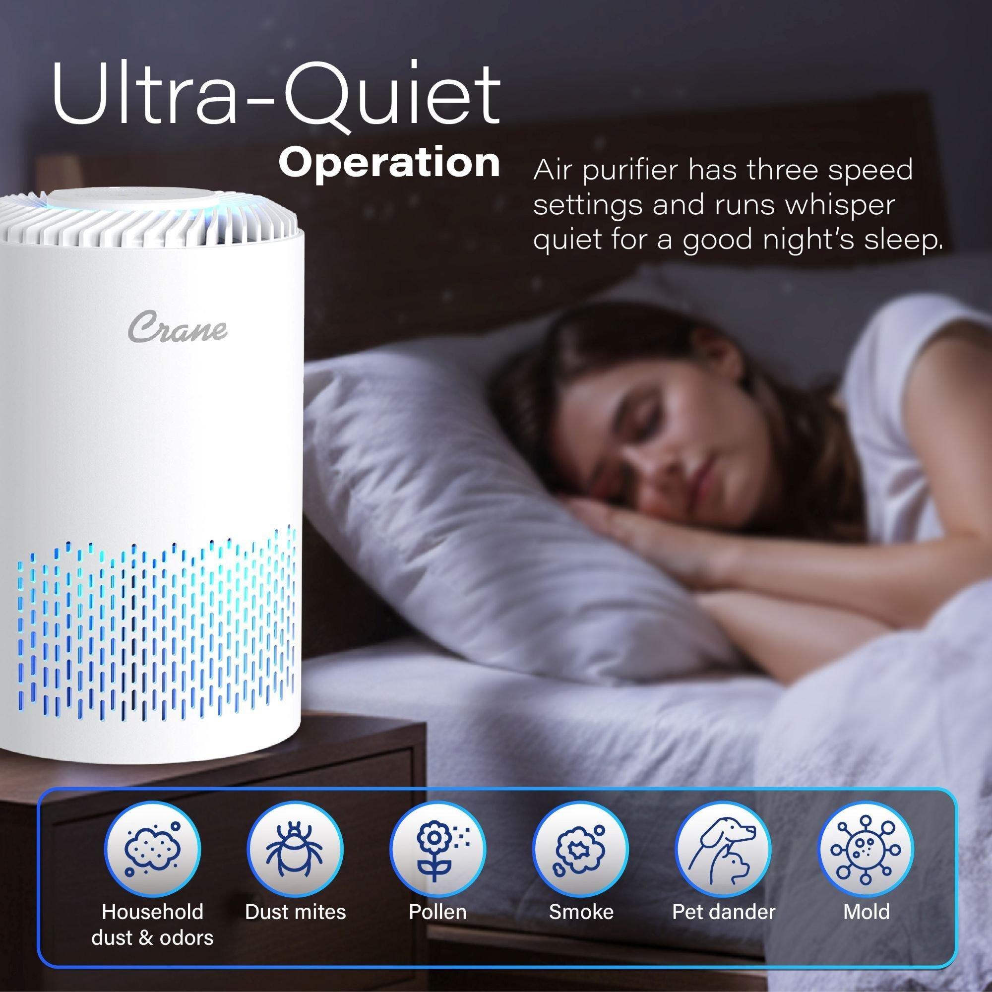 True HEPA Air Purifier, Up To 150 Sq. Ft. image number 4