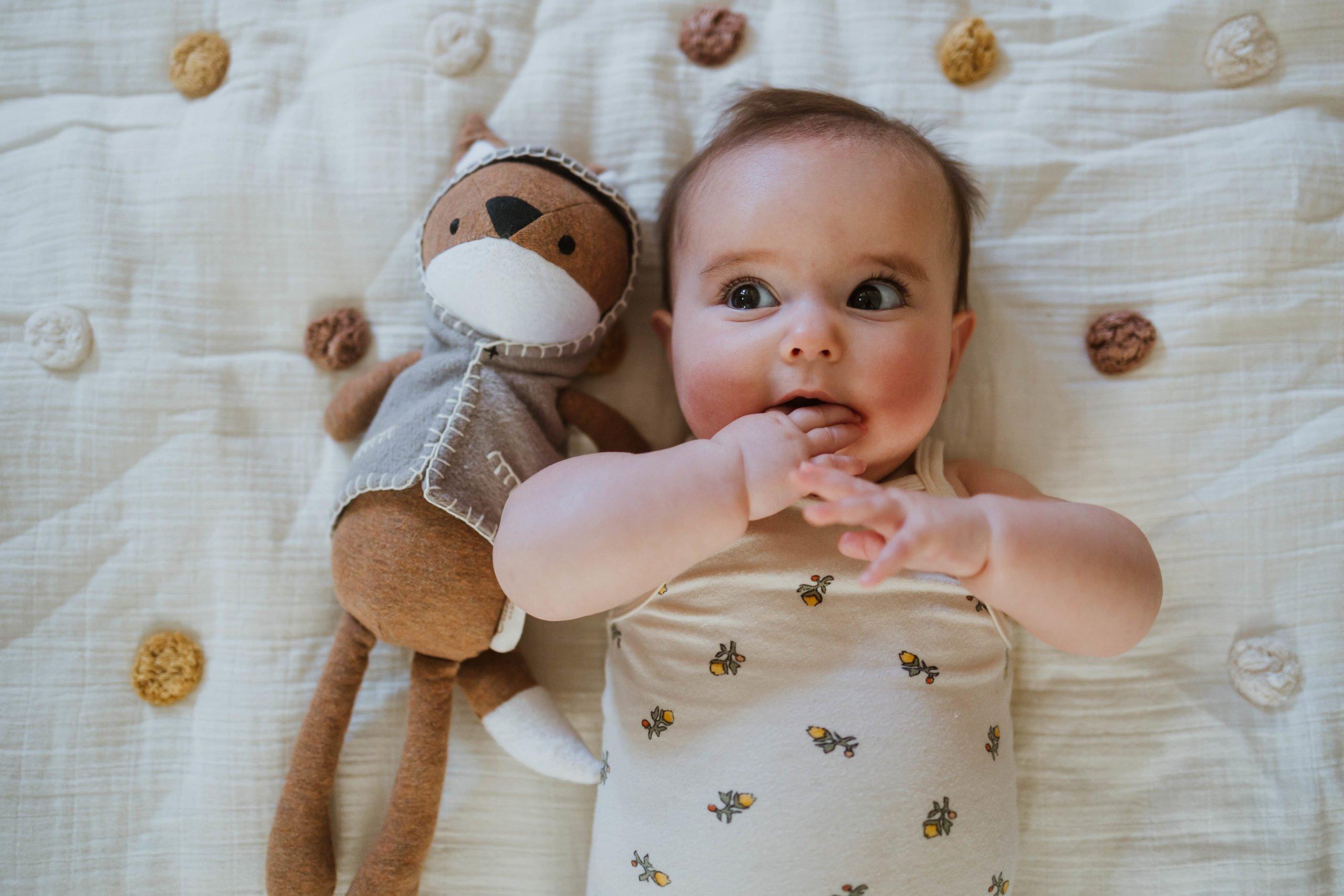 Ezra Frankie Fox Plush Toy image number 4