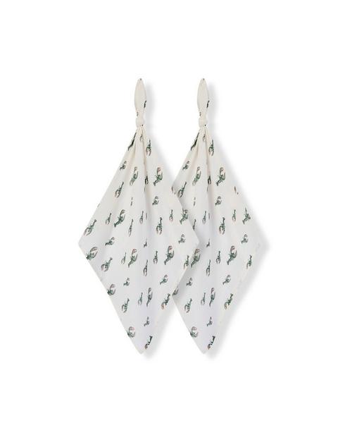 Mint Lobster Bamboo Two-Piece Burp Cloth Set