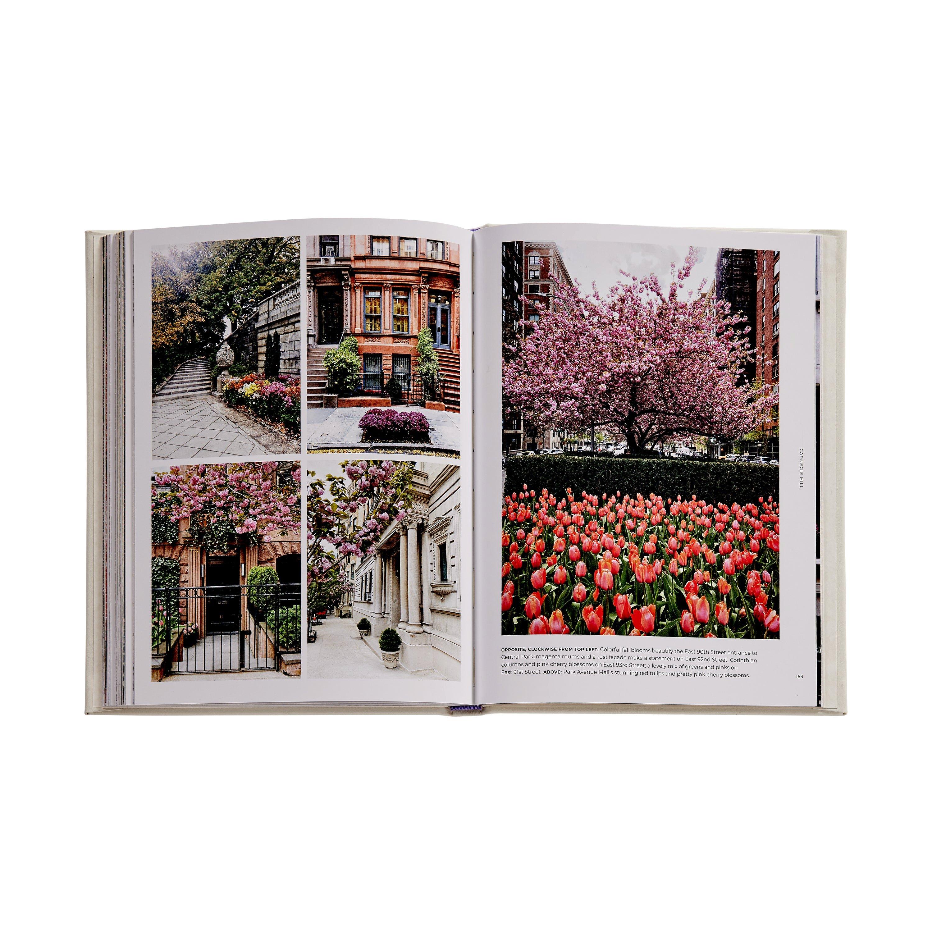 Walk With Me New York Leather Bound Edition image number 4