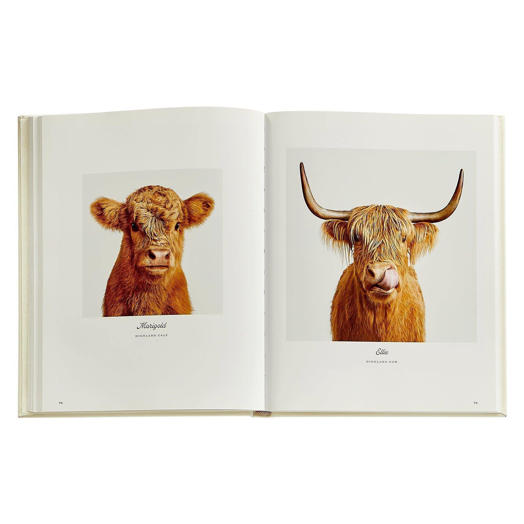 Farm Life: A Collection of Animal Portraits by Randal Ford Leather Bound Edition image number 2