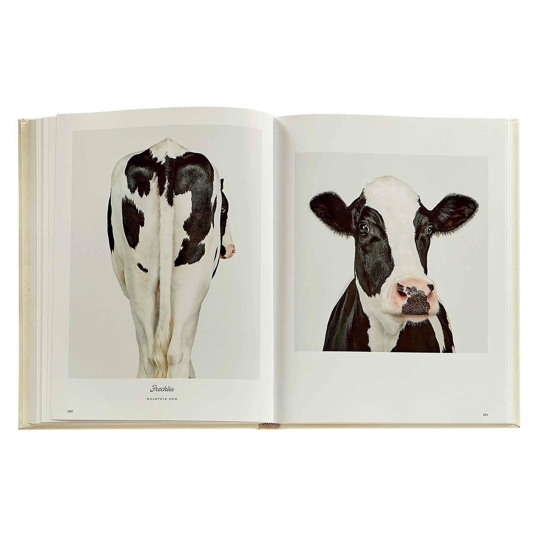 Farm Life: A Collection of Animal Portraits by Randal Ford Leather Bound Edition image number 3