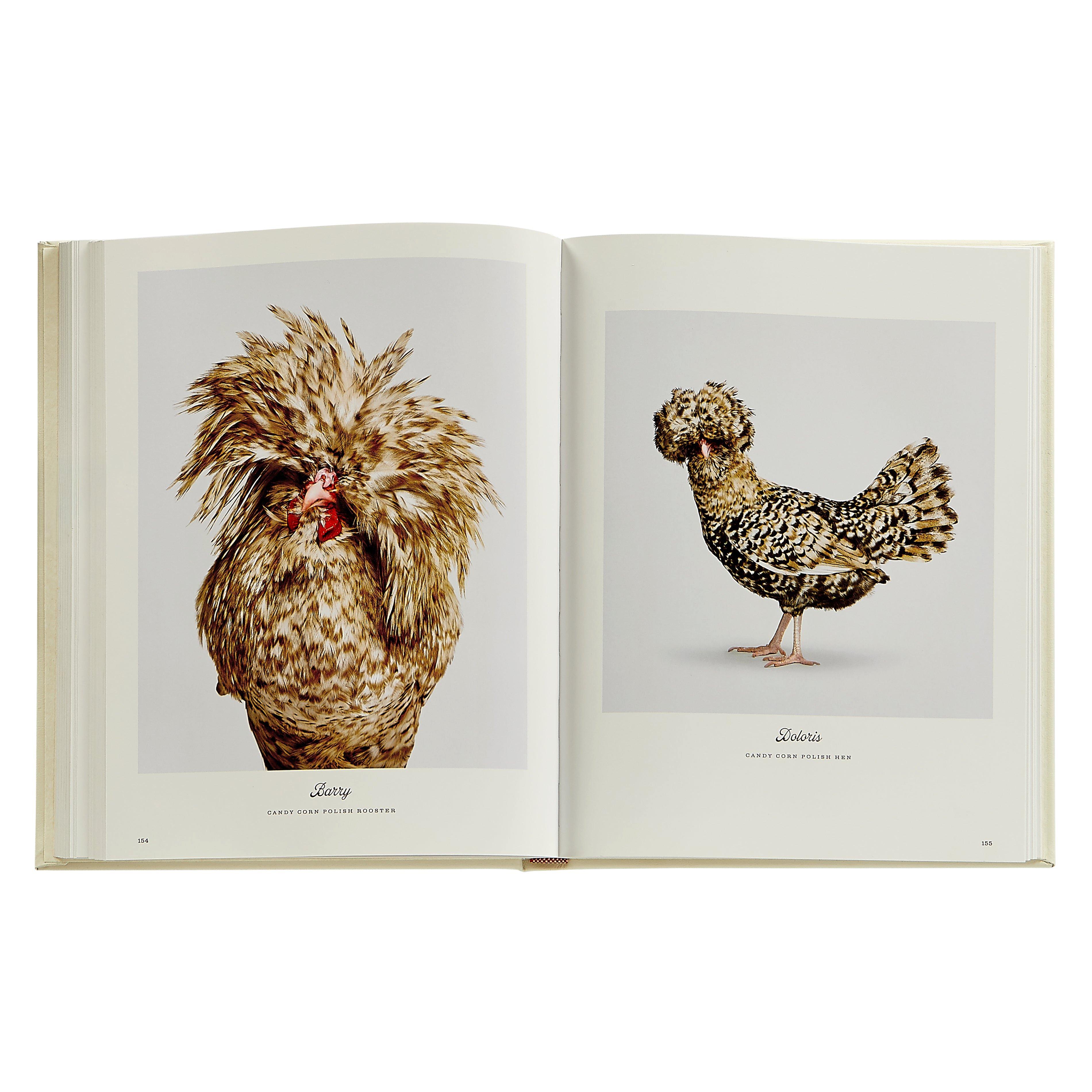 Farm Life: A Collection of Animal Portraits by Randal Ford Leather Bound Edition image number 4