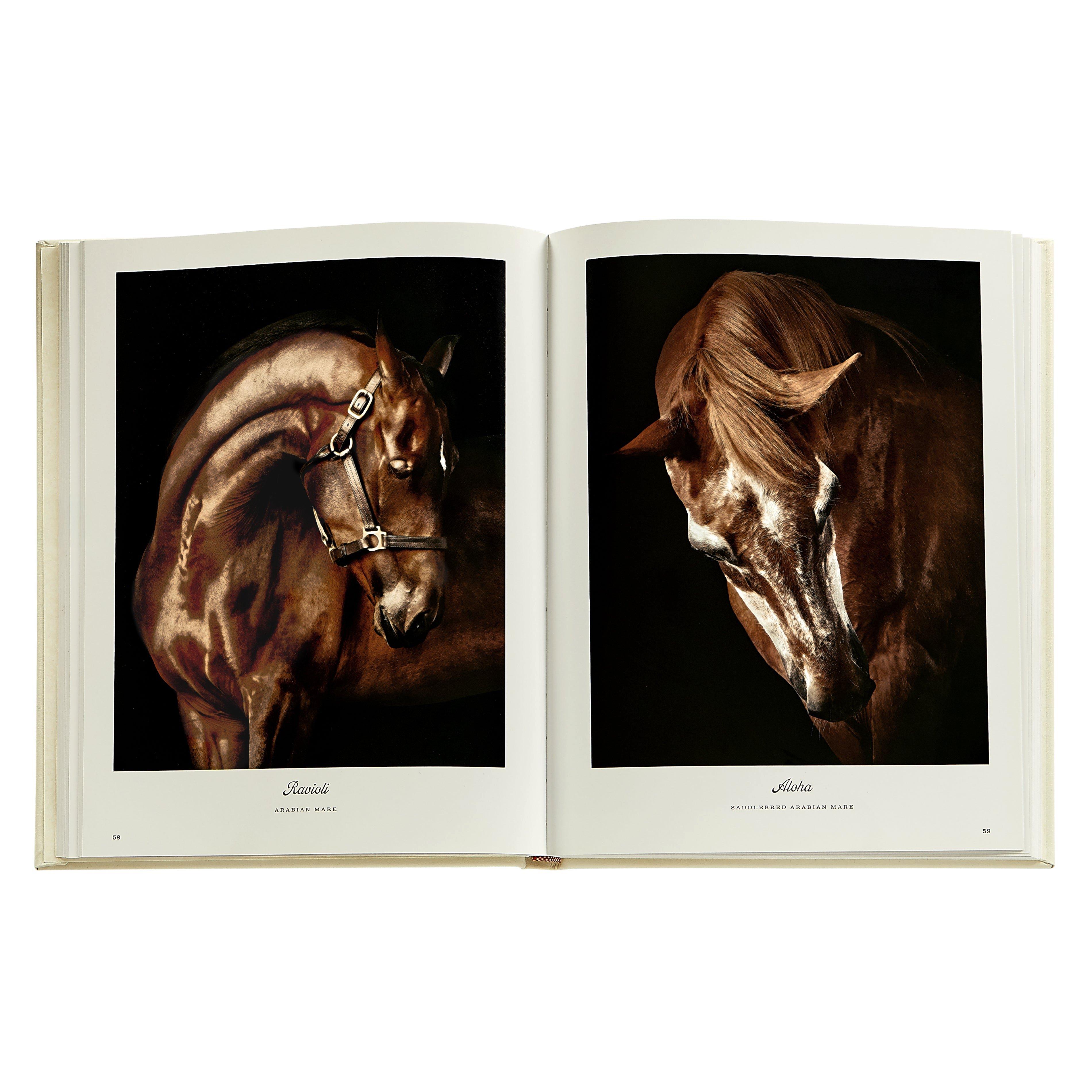 Farm Life: A Collection of Animal Portraits by Randal Ford Leather Bound Edition image number 1