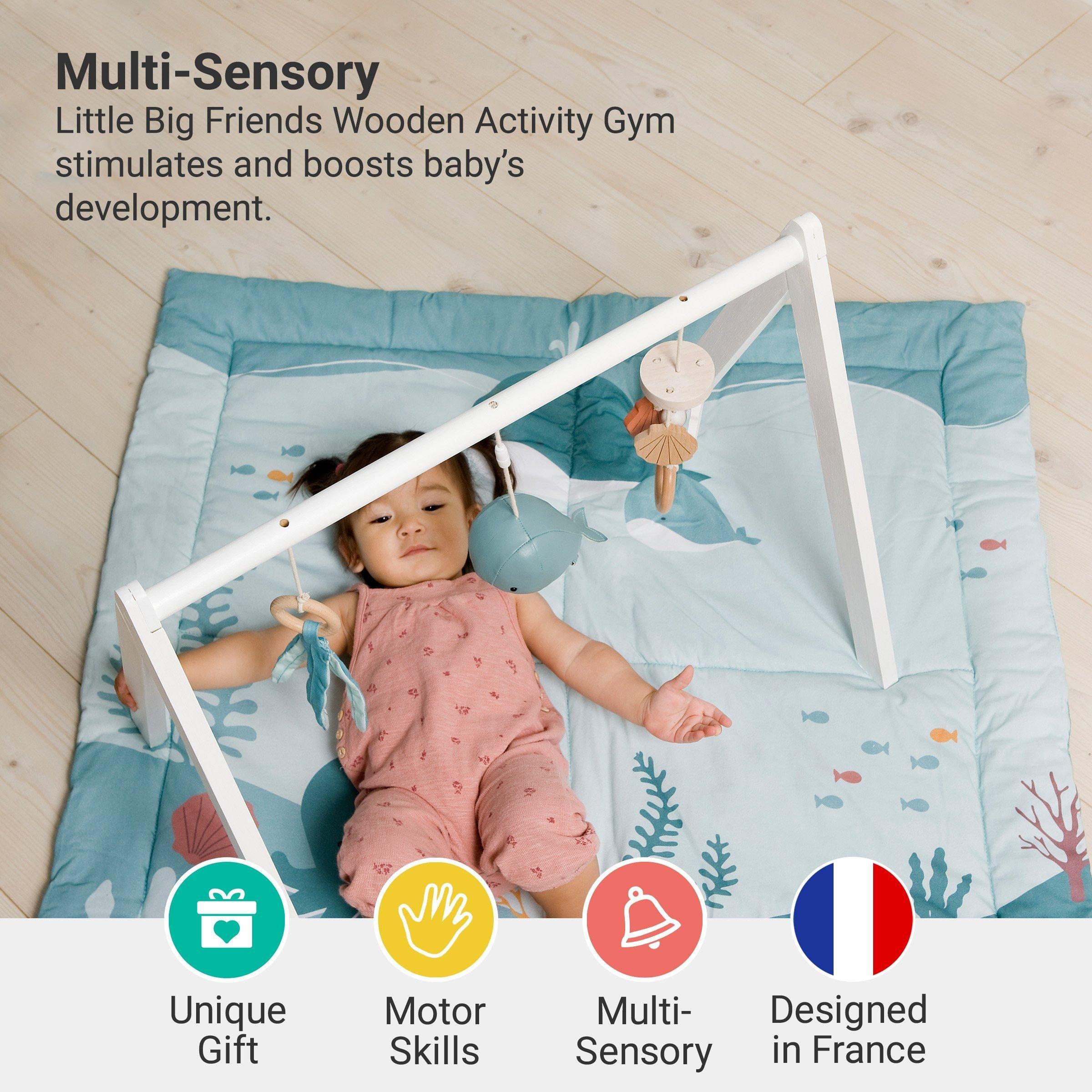 Wooden Activity Arch - Ocean, Baby Gym & Sensory Toys image number 1