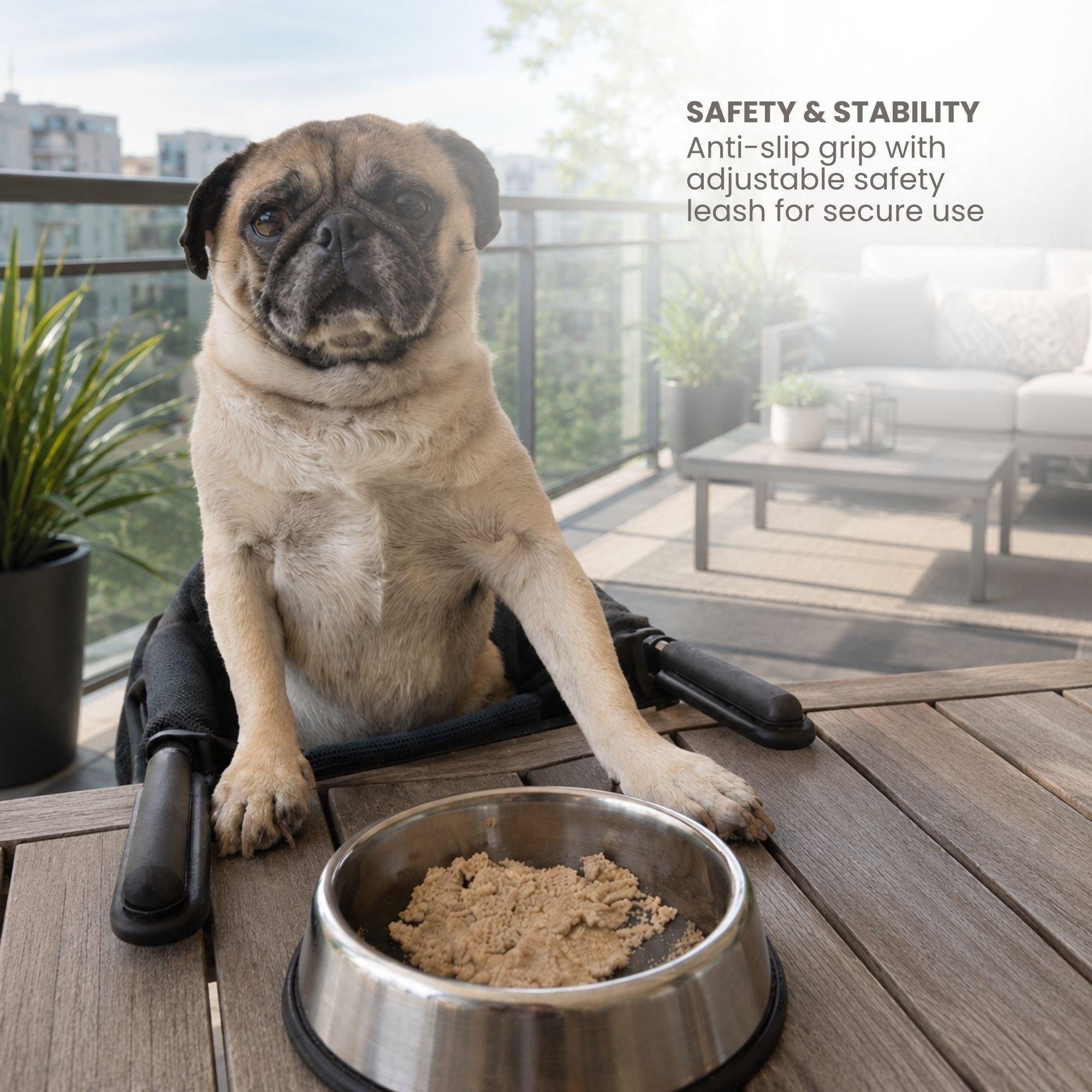 Pet Portable Table Chair Seat, Hook-On Highchair image number 1