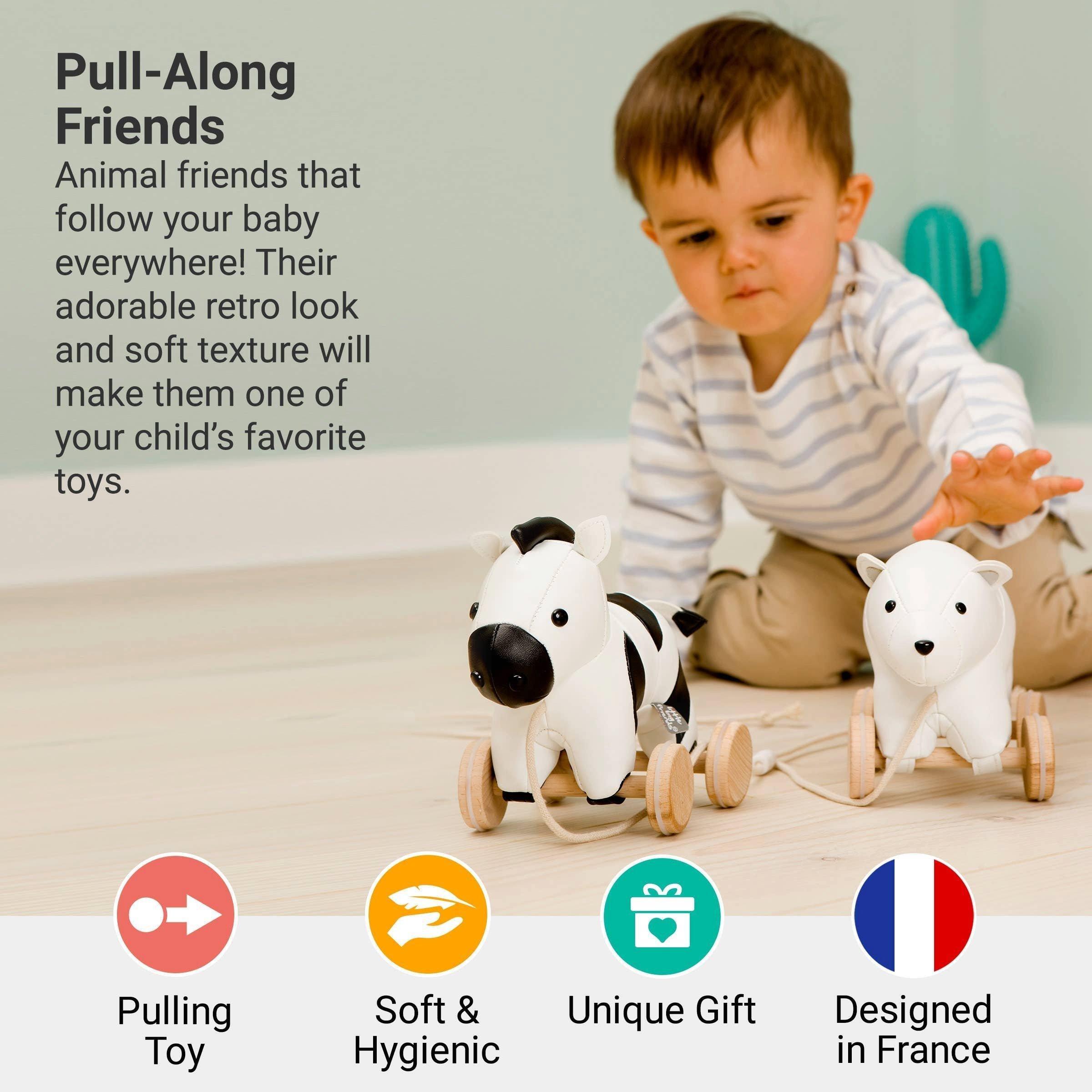 Pull Along Friends - Robert the Zebra, Plush Toy image number 1