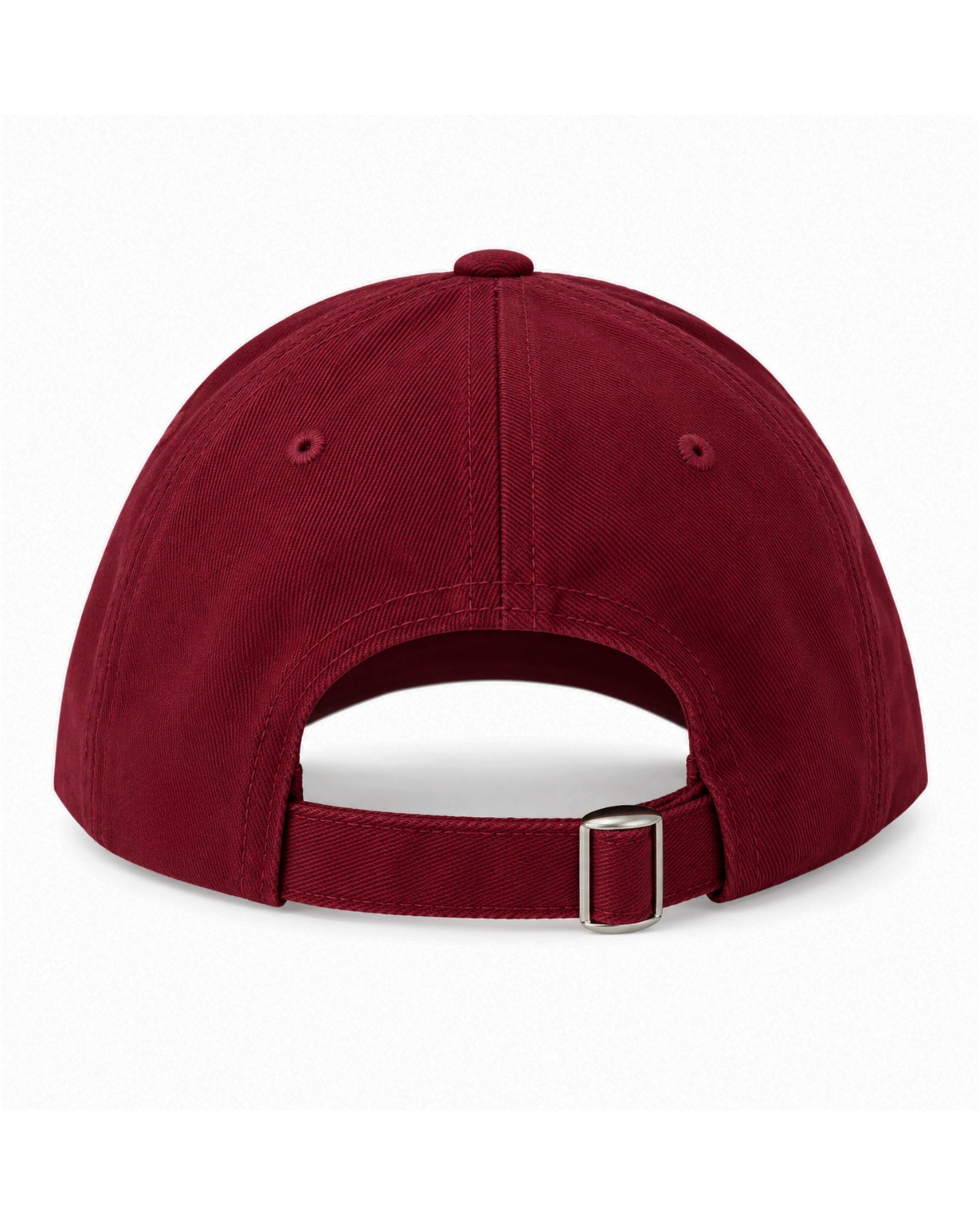 Chocolate Lab Baseball Hat image number 3