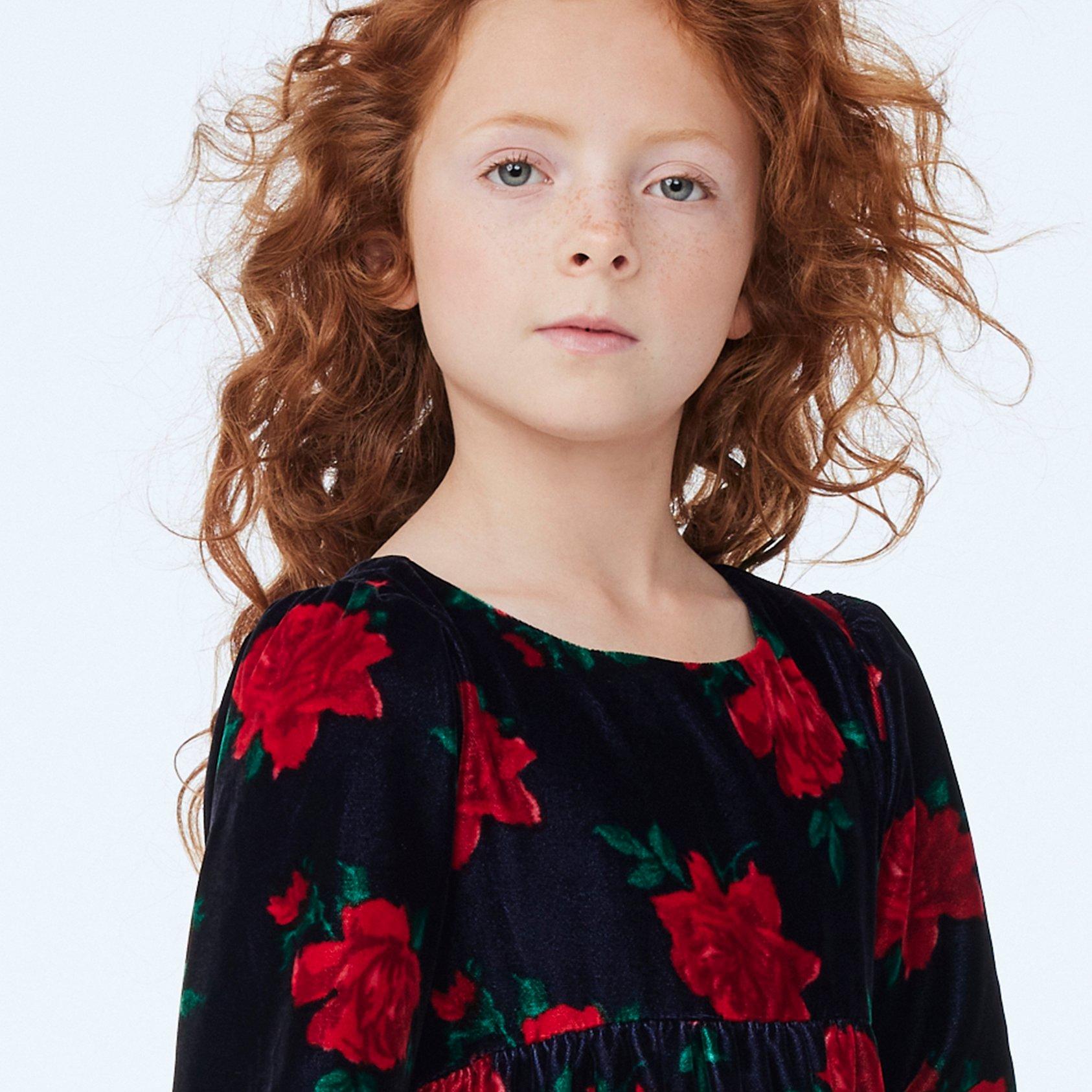 The Velvet Rose Dress  image number 2