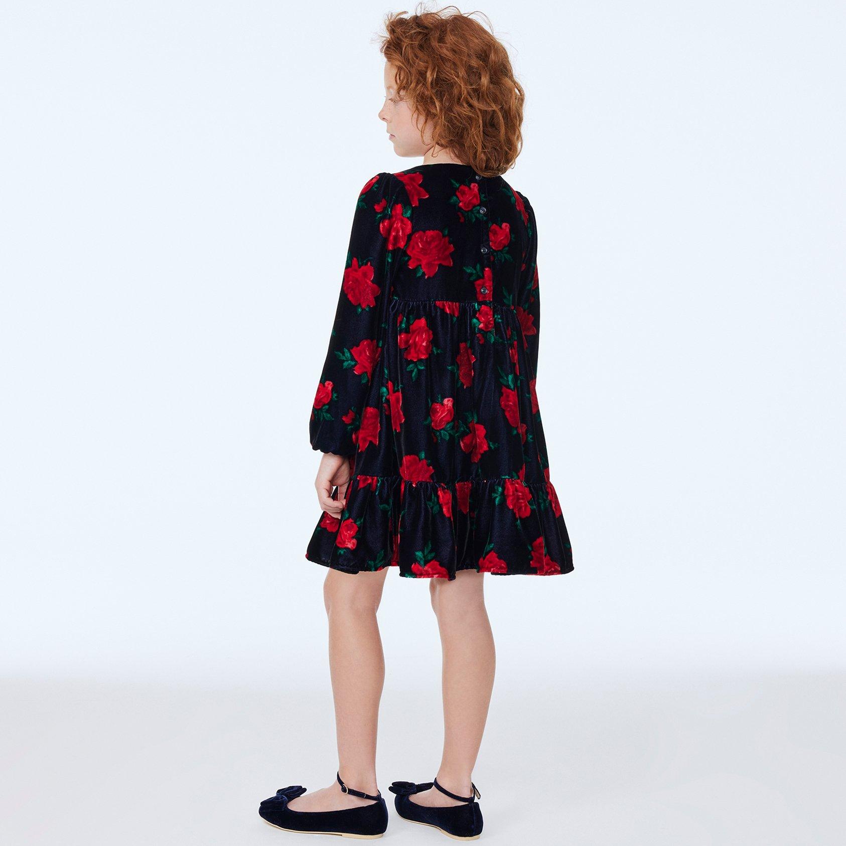 The Velvet Rose Dress  image number 3