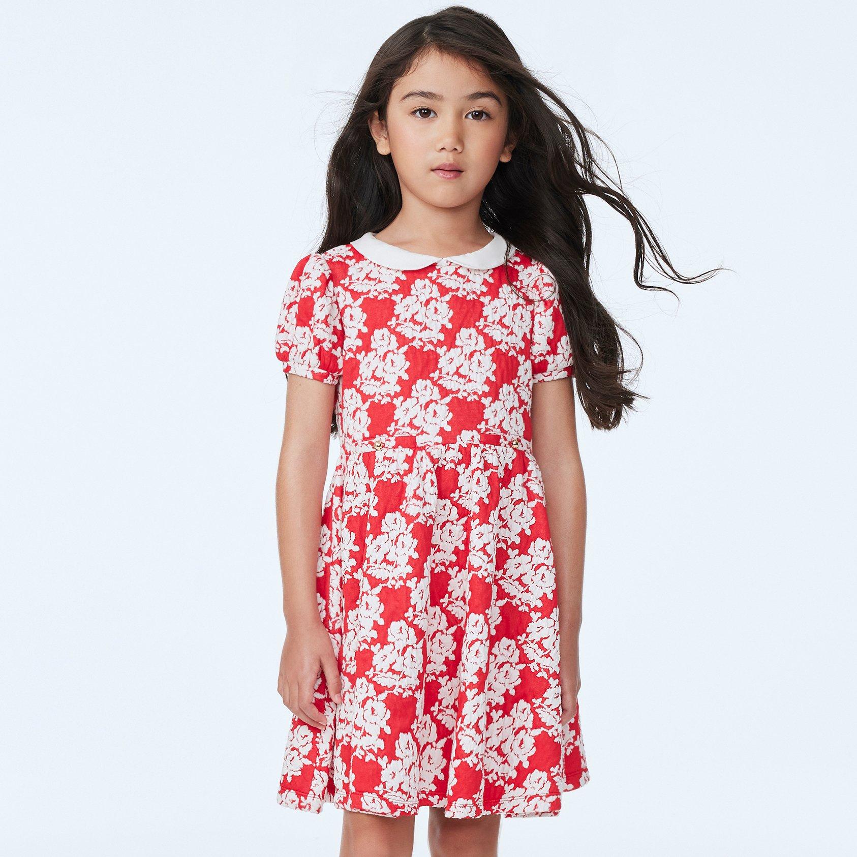 Rose Jacquard Collar Dress