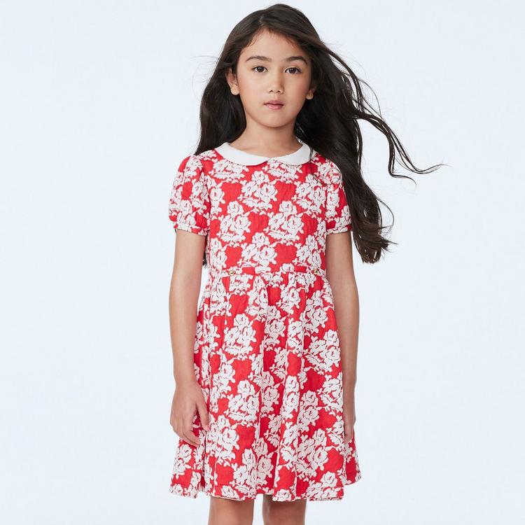 Girl Holiday Red Rose Rose Jacquard Collar Dress by Janie and Jack