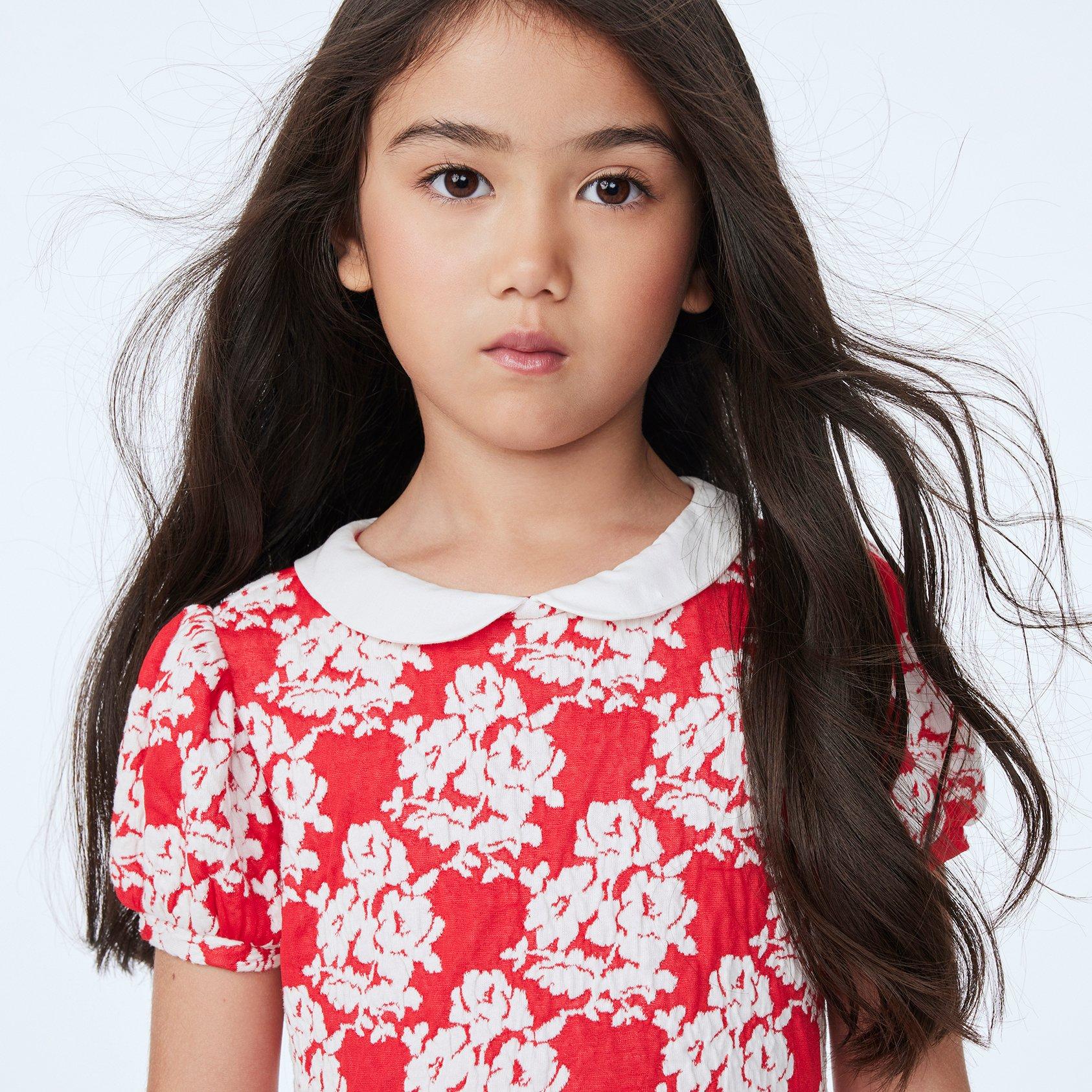 Rose Jacquard Collar Dress image number 2