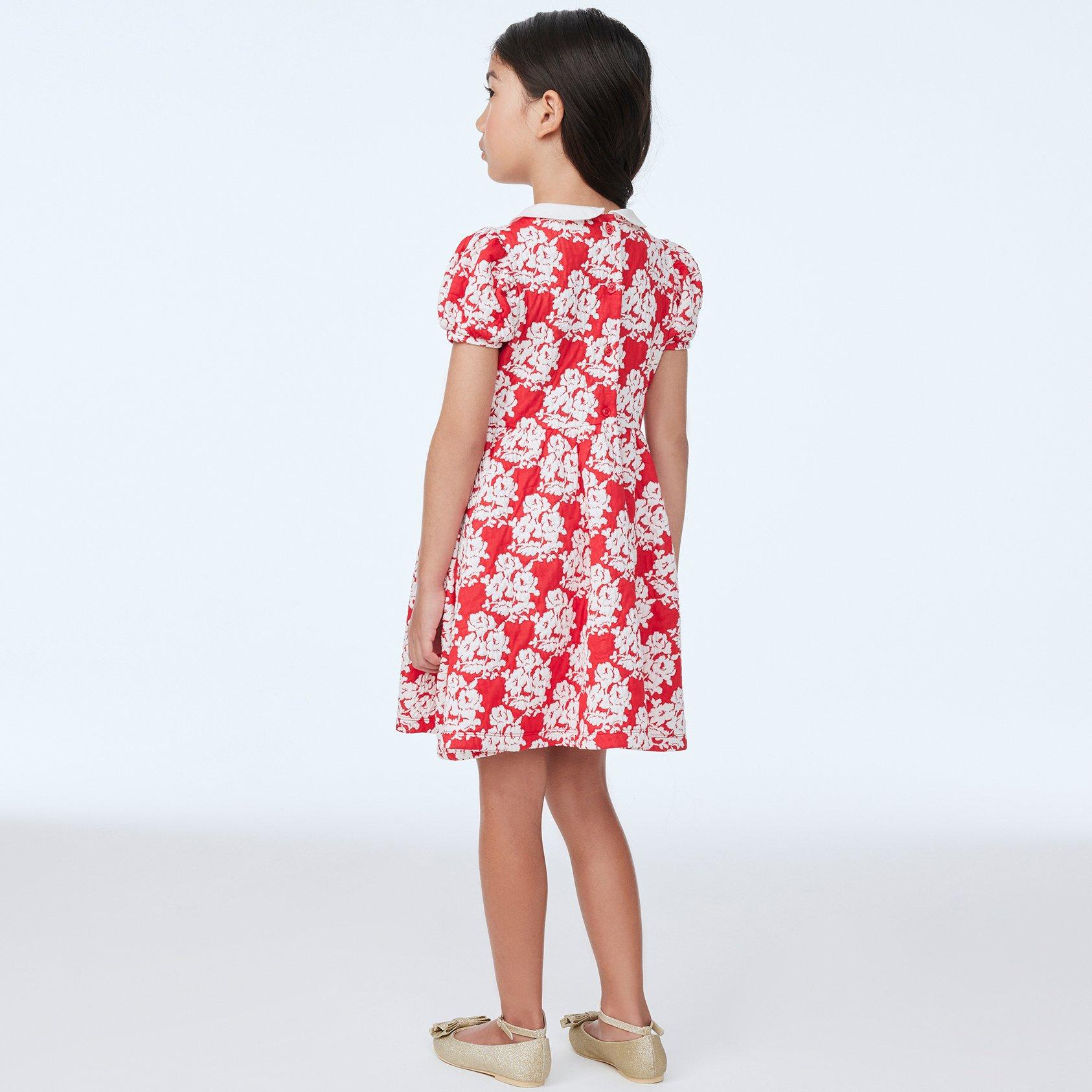 Rose Jacquard Collar Dress image number 5