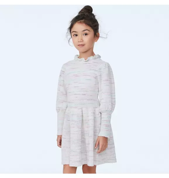 The Cozy Marled Sweater Dress  image number 0