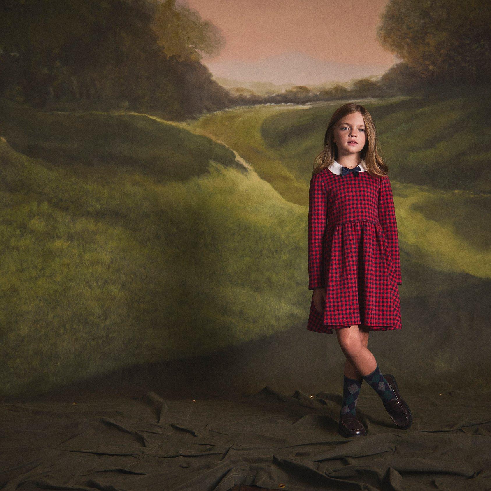 Gingham Jacquard Dress image number 3