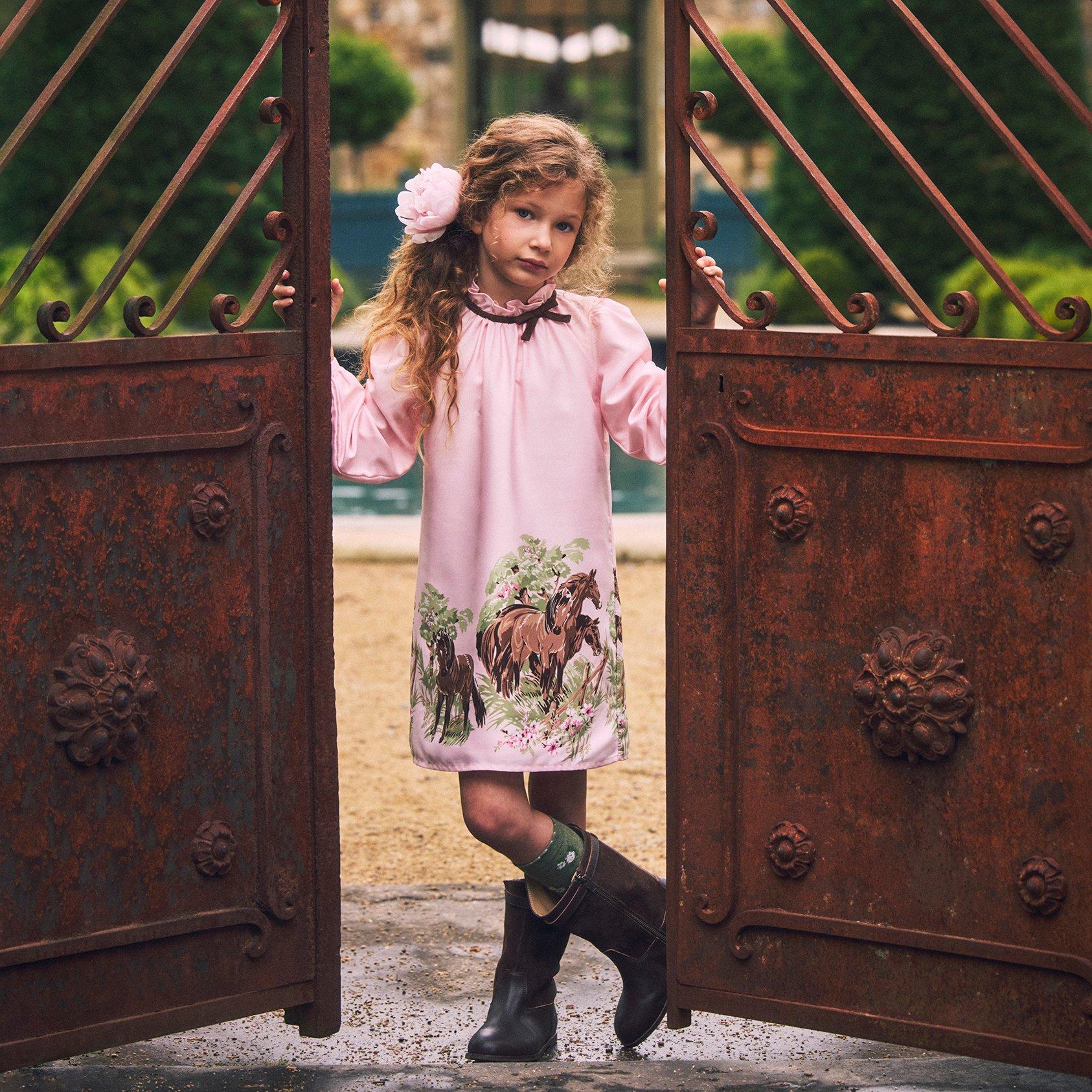 The Horse Meadow Dress image number 1
