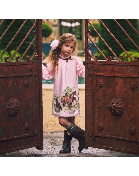 The Horse Meadow Dress