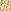 beige clair