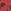 rood