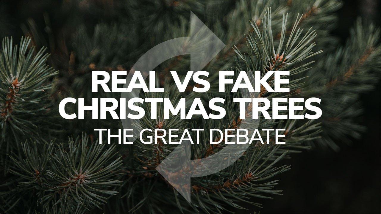 Real vs Fake Christmas Trees - The Great Debate