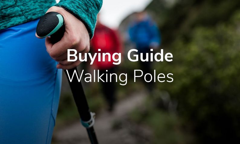 Buying Guide: Walking Poles