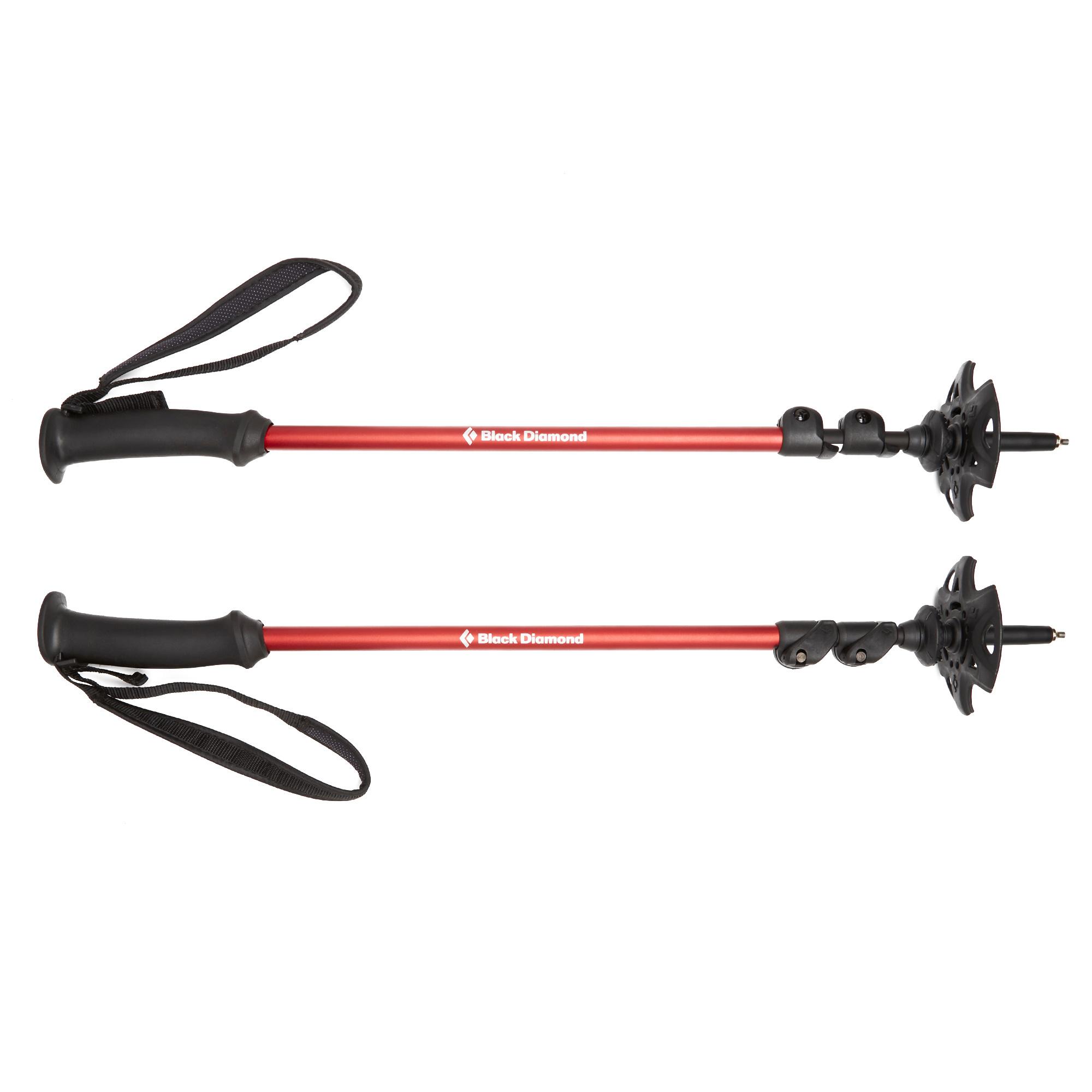 north face trekking pole