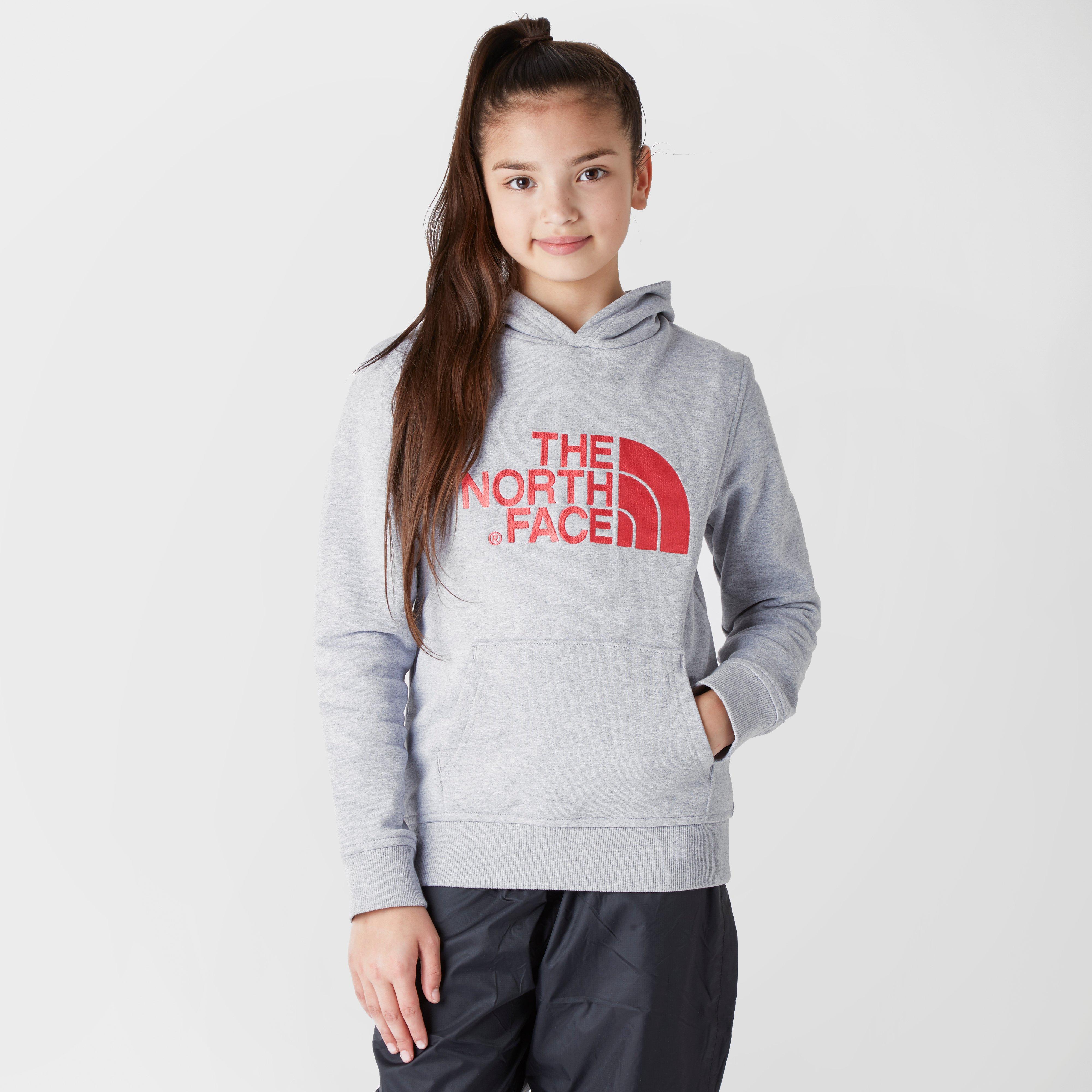 the north face children's youth drew peak hoodie