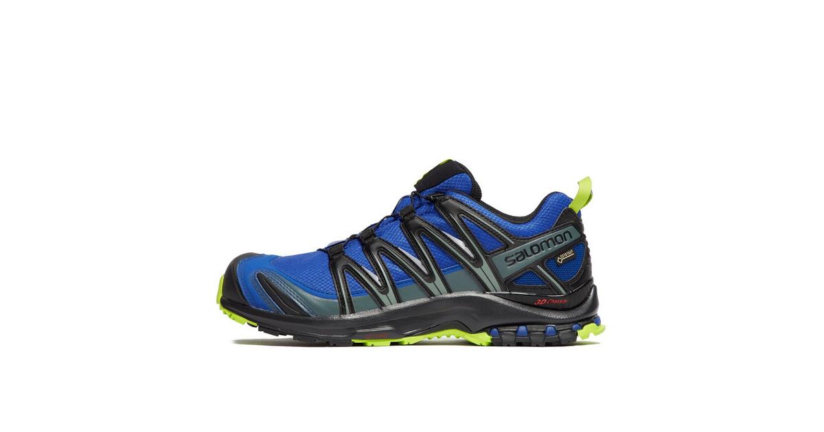 Salomon xa pro store 3d gtx 2019