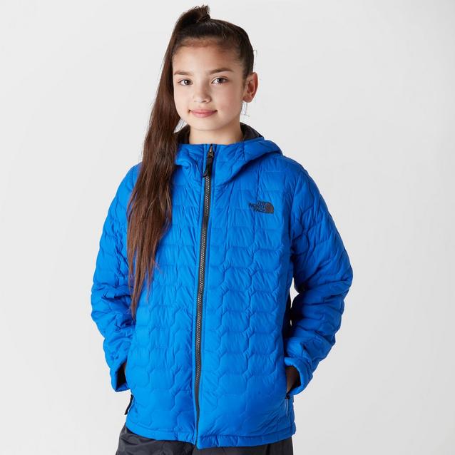 Blue north face thermoball jacket deals