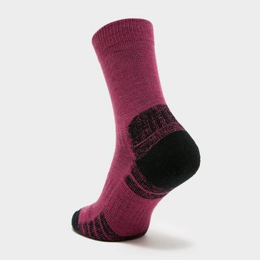 Purple Bridgedale Women’s HIKE Lightweight Merino Performance Socks
