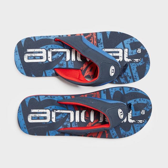 Animal jekyl logo hot sale flip flops