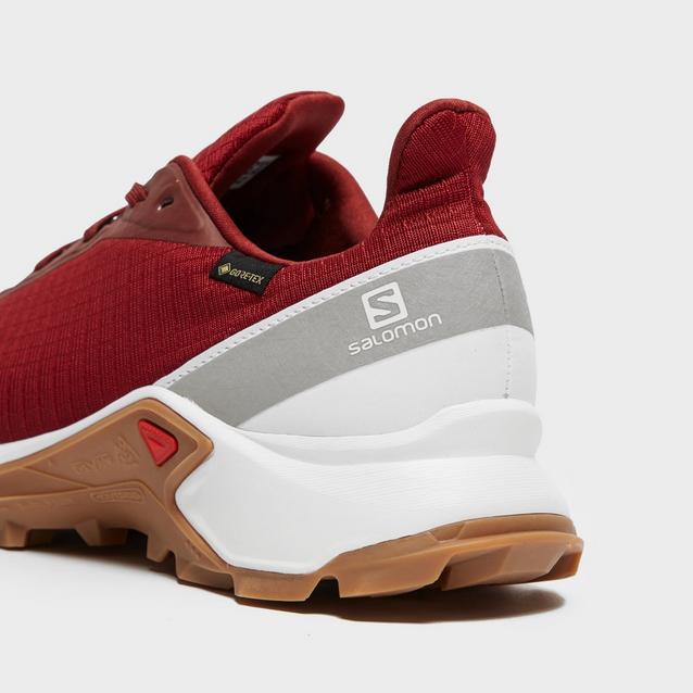 Salomon Men's Alphacross GORE-TEX® Shoes