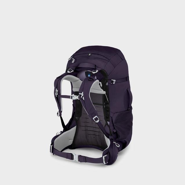 Osprey best sale fairview 50