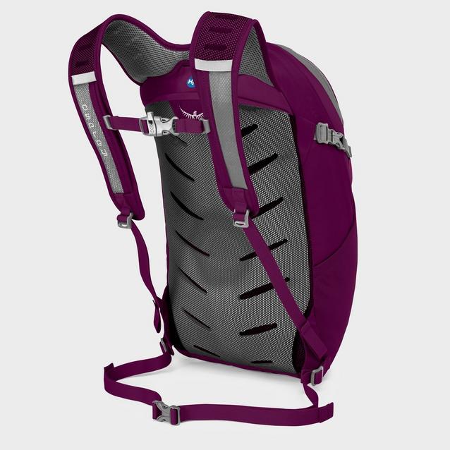 Osprey daylite hot sale plus purple