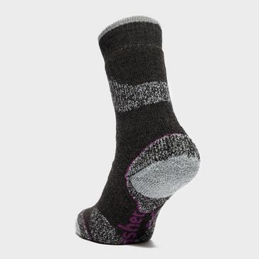 Purple Brasher Women’s Trekker Plus Socks