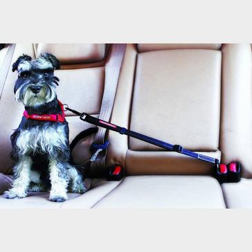 Black EzyDog 'Click' Adjustable Car Restraint