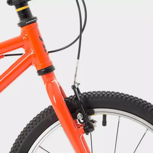 Wild 18 store kids bike