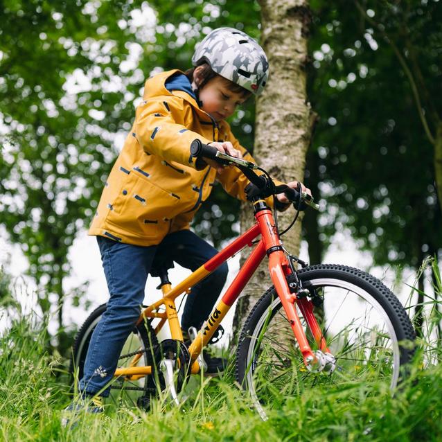 Wild Bikes Wild 18 Kids' Bike