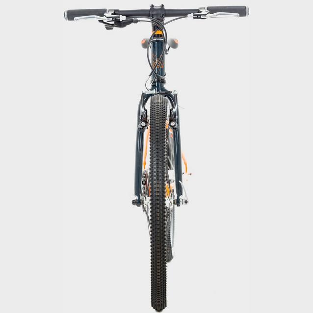 Wild discount bikes 24