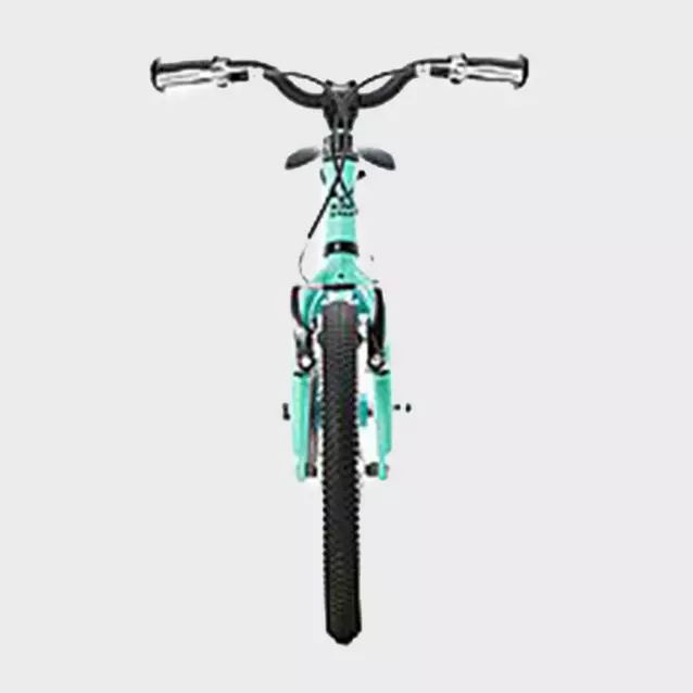 Wild Bikes Wild 16 Kids Bike Millets