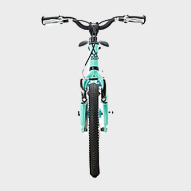 Wild best sale bikes 16